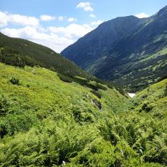 Podbanské - Pyšné sedlo - Podbanské